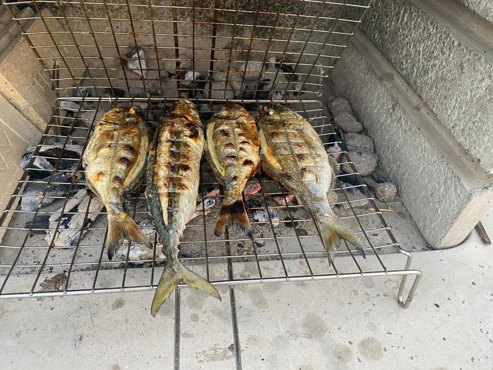 דראגה Villa Koral מראה חיצוני תמונה